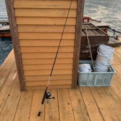 本部釣りイカダ 釣果