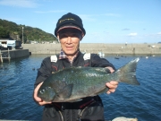 春日丸 釣果