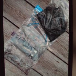 こかわ渡船　雅丸 釣果