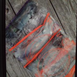 こかわ渡船　雅丸 釣果