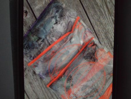 こかわ渡船　雅丸 釣果