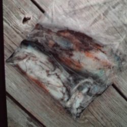 こかわ渡船　雅丸 釣果