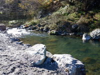 秩父フライフィールド 釣果