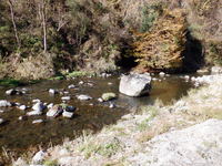 秩父フライフィールド 釣果