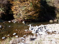 秩父フライフィールド 釣果