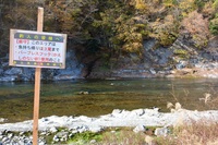 秩父フライフィールド 釣果