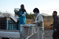 秩父フライフィールド 釣果