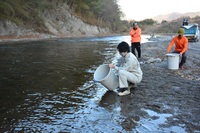 秩父フライフィールド 釣果