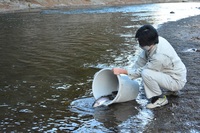 秩父フライフィールド 釣果
