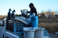 秩父フライフィールド 釣果