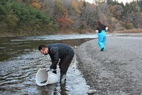 秩父フライフィールド 釣果