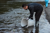 秩父フライフィールド 釣果