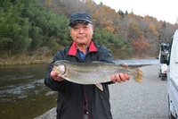 秩父フライフィールド 釣果