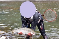 秩父フライフィールド 釣果