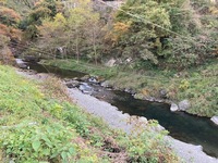 秩父フライフィールド 釣果