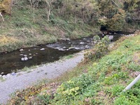 秩父フライフィールド 釣果