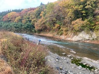 秩父フライフィールド 釣果