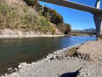 秩父フライフィールド 釣果