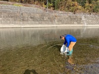 秩父フライフィールド 釣果