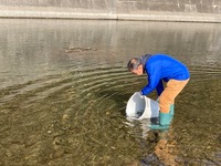 秩父フライフィールド 釣果