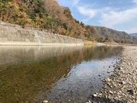 秩父フライフィールド 釣果