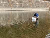 秩父フライフィールド 釣果