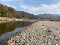 秩父フライフィールド 釣果