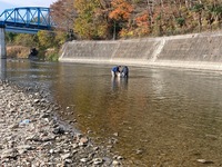 秩父フライフィールド 釣果