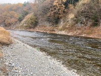 秩父フライフィールド 釣果