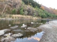 秩父フライフィールド 釣果