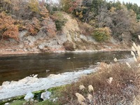 秩父フライフィールド 釣果