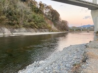 秩父フライフィールド 釣果