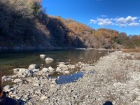秩父フライフィールド 釣果
