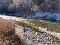 秩父フライフィールド 釣果
