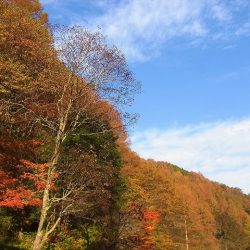 平谷湖フィッシングスポット 釣果