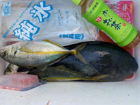 千津丸 釣果