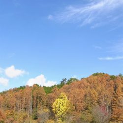 平谷湖フィッシングスポット 釣果