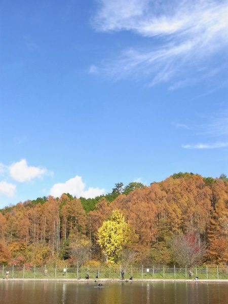 平谷湖フィッシングスポット 釣果