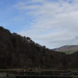 平谷湖フィッシングスポット 釣果