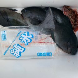 千津丸 釣果