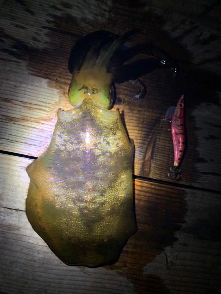 あみや渡船 釣果