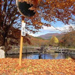 平谷湖フィッシングスポット 釣果