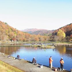 平谷湖フィッシングスポット 釣果