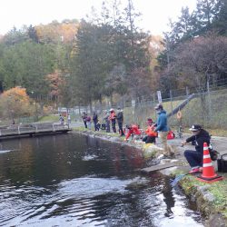 平谷湖フィッシングスポット 釣果