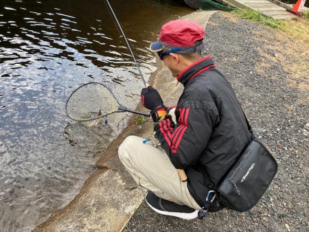 平谷湖フィッシングスポット 釣果