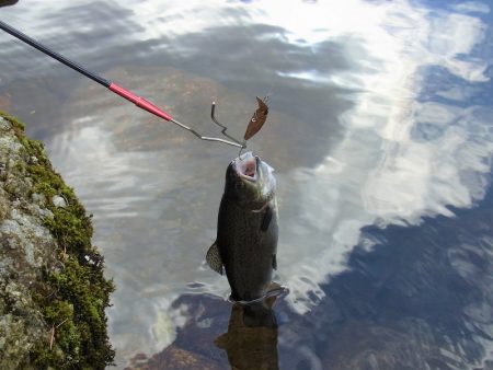 平谷湖フィッシングスポット 釣果