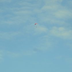 平谷湖フィッシングスポット 釣果