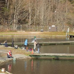 平谷湖フィッシングスポット 釣果