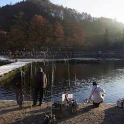 平谷湖フィッシングスポット 釣果