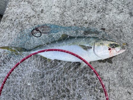 ホーム最終戦‼️